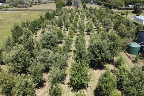 Photo of property in 271 Mystery Creek Road, Ohaupo, 3881