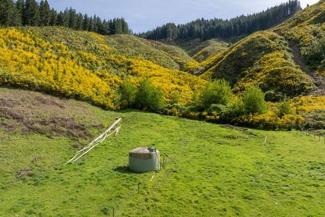 Photo of property in 208 Mount Riley Road, Okaramio, Havelock, 7178