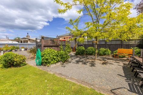 Photo of property in 111 Tavistock Road, Waipukurau, 4200