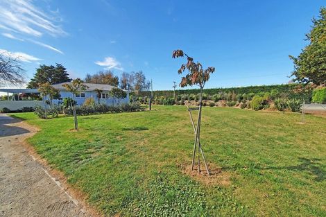 Photo of property in 62 Paki Paki Road, Longlands, Hastings, 4174