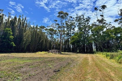 Photo of property in 4021 State Highway 1, Pukenui, Kaitaia, 0484