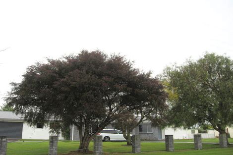 Photo of property in 88 Grant Road, Opotiki, 3122