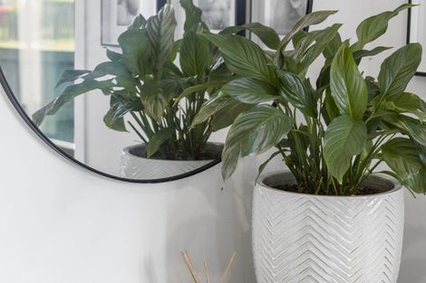 Photo of property in 8 Matau Close, Te Kauwhata, 3710