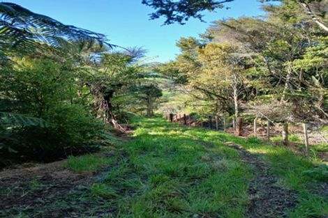 Photo of property in 403 Maungatawhiri Road, Raglan, 3295