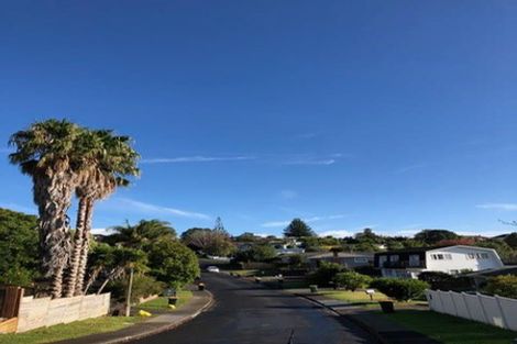 Photo of property in 10 Deuxberry Avenue, Northcote, Auckland, 0627