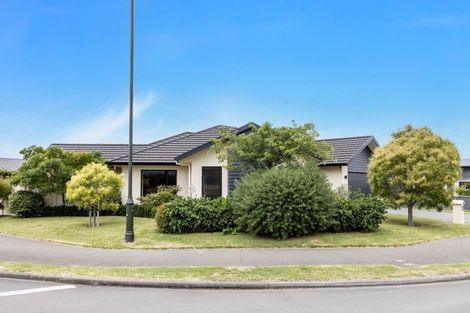 Photo of property in 10 Orotu Drive, Poraiti, Napier, 4112