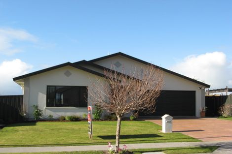 Photo of property in 60 Palmbrook Avenue, Havelock North, 4130