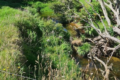 Photo of property in 444 Brown Road, Mangawhai, Kaiwaka, 0573