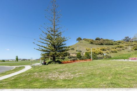 Photo of property in 61 Oak Road, Poraiti, Napier, 4112