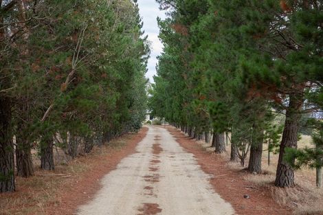 Photo of property in 344 Clyde-alexandra Road, Alexandra, 9391