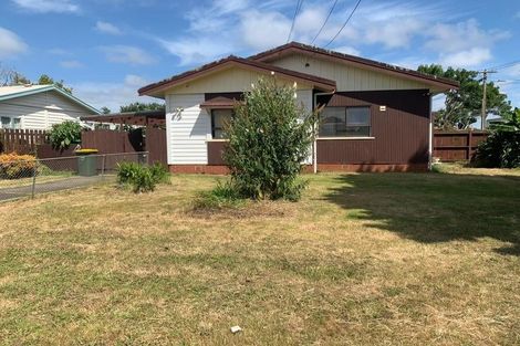 Photo of property in 12a Allenby Road, Panmure, Auckland, 1072