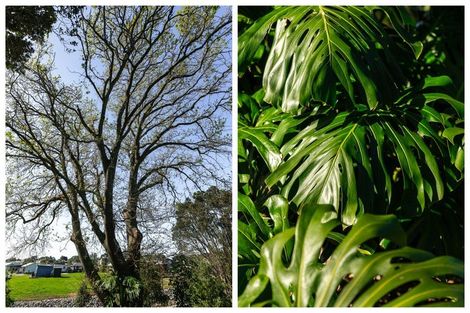 Photo of property in 38 Wilson Road, Waihi Beach, 3611