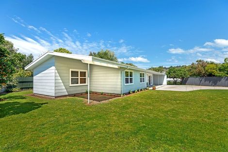 Photo of property in 163 Esplanade, Inner Kaiti, Gisborne, 4010