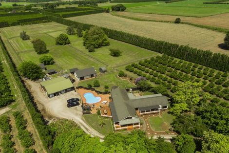 Photo of property in 862 Matawai Road, Ormond, Gisborne, 4071