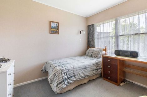 Photo of property in 17 Sussex Street, Chartwell, Hamilton, 3210