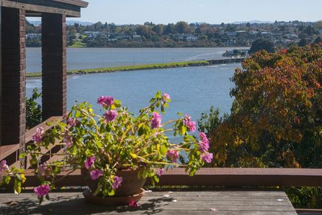 Photo of property in 9 Tutauanui Crescent, Maungatapu, Tauranga, 3112