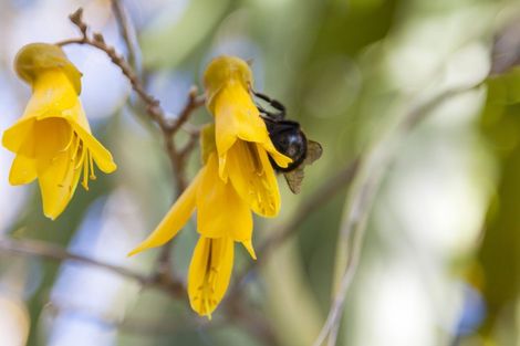Photo of property in 42 Guildford Drive, Paraparaumu, 5032