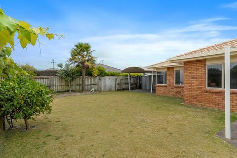 Photo of property in 19 Fahey Avenue, Mount Maunganui, 3116