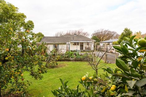 Photo of property in 91 North Street, Feilding, 4702