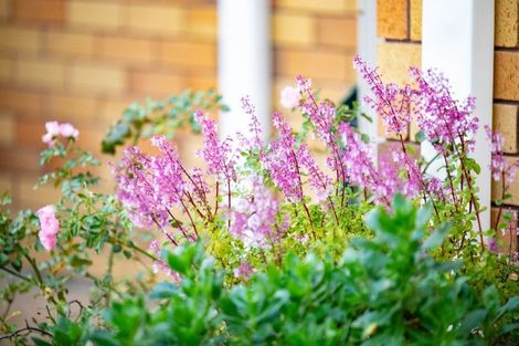 Photo of property in 10 Lochinver Drive, Nawton, Hamilton, 3200