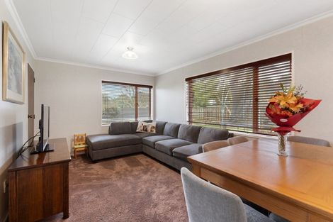 Photo of property in 82 Stortford Street, Ashhurst, 4810