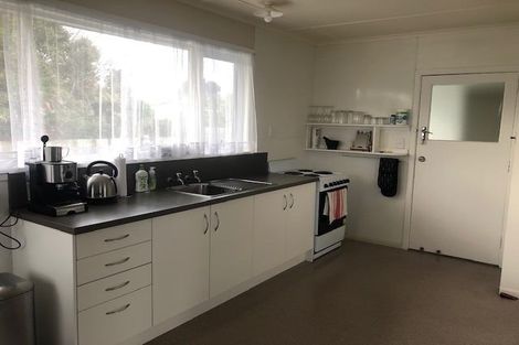 Photo of property in 152 Tamamutu Street, Taupo, 3330