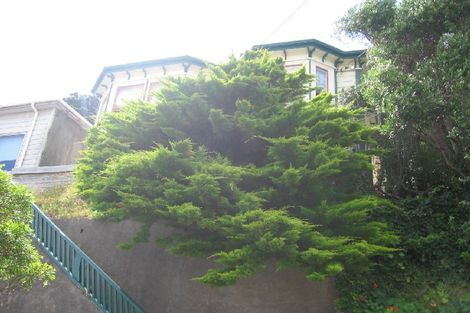 Photo of property in 45 Scarborough Terrace, Mount Victoria, Wellington, 6011