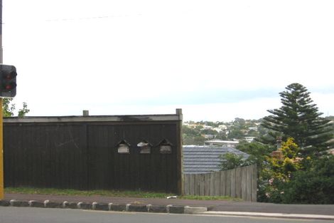 Photo of property in 483 Mount Albert Road, Mount Roskill, Auckland, 1042