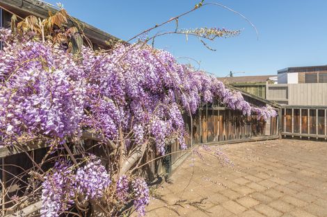 Photo of property in 10a Holland Street, Glenholme, Rotorua, 3010