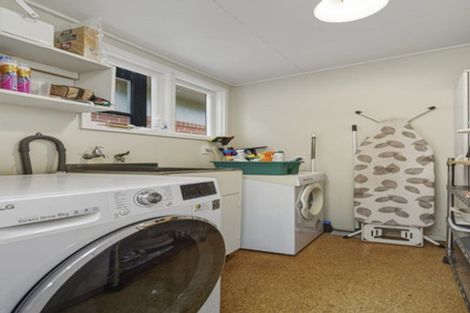 Photo of property in 21 Leven Street, Roslyn, Dunedin, 9010