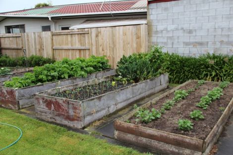 Photo of property in 86 Maxwells Line, Awapuni, Palmerston North, 4412