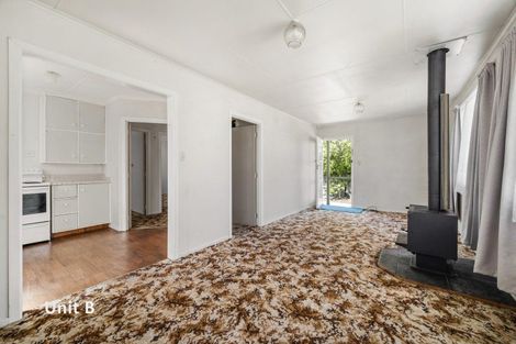 Photo of property in 165 Spa Road, Taupo, 3330