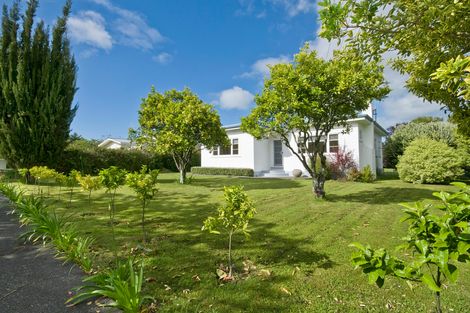 Photo of property in 19 Owen Road, Inner Kaiti, Gisborne, 4010