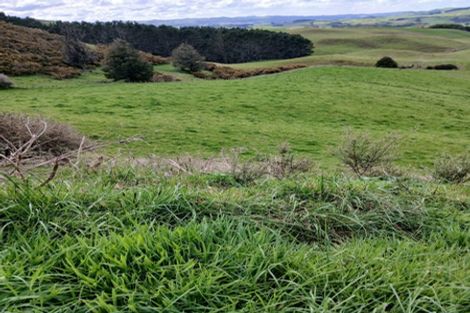 Photo of property in 403 Maungatawhiri Road, Raglan, 3295