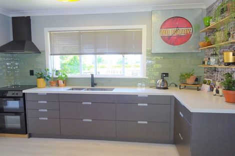 Photo of property in 170 Foxton Shannon Road, Foxton, 4893