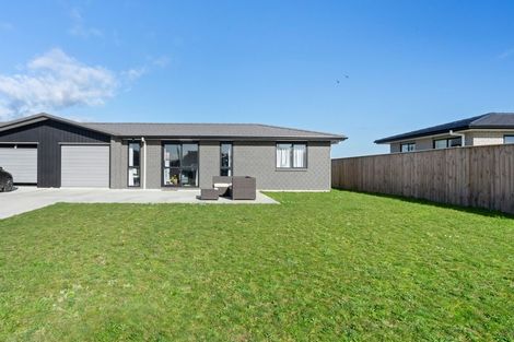 Photo of property in 111 Hinemoa Street, Levin, 5510