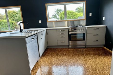 Photo of property in 137 Winchester Street, Ashhurst, 4810