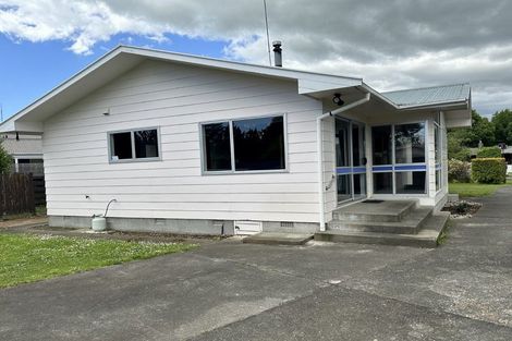 Photo of property in 137 Winchester Street, Ashhurst, 4810