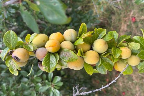 Photo of property in 287 Taurangaruru Road, Karioitahi, Waiuku, 2683