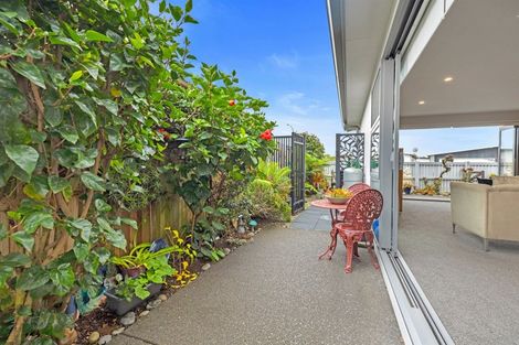 Photo of property in 5 Eden Crescent, Brookfield, Tauranga, 3110