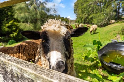 Photo of property in 406 Wright Road, Matakana, Warkworth, 0985