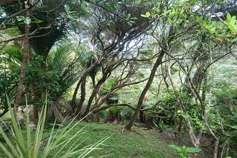 Photo of property in 77 Karekare Road, Karekare, Auckland, 0772