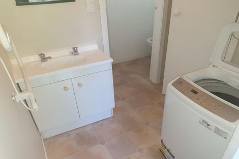 Photo of property in 45 Adams Terrace, Aro Valley, Wellington, 6021