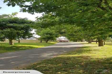 Photo of property in 491 Palmer Mill Road, Wairakei, Taupo, 3384