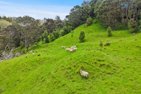 Photo of property in 44 Sandstone Road, Whitford, Manurewa, 2576