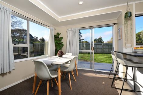 Photo of property in 17 Exeter Street, Glenview, Hamilton, 3206