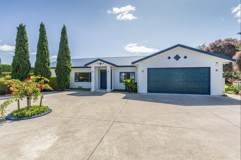 Photo of property in 257 Motuiti Road, Foxton, 4891