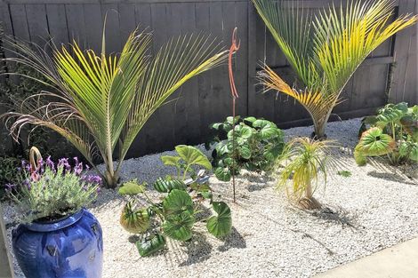 Photo of property in 10 Kanono Close, Papamoa Beach, Papamoa, 3118