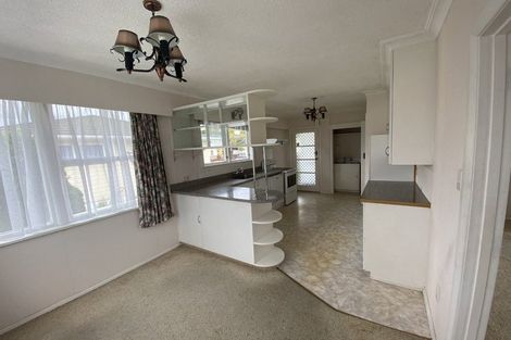 Photo of property in 20 Burn Street, Levin, 5510