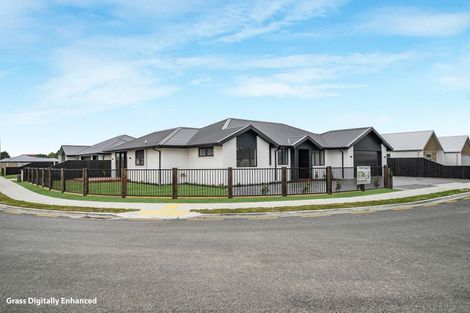 Photo of property in 54 Greig Crescent, Amberley, 7410